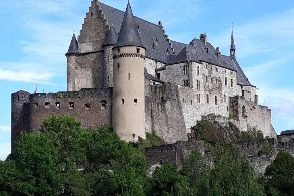 The Vianden Cottage - Charming Cottage In The Forest Екстериор снимка
