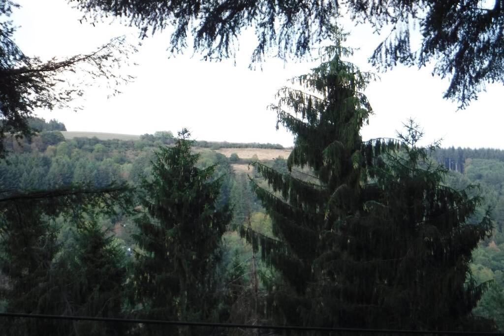 The Vianden Cottage - Charming Cottage In The Forest Екстериор снимка