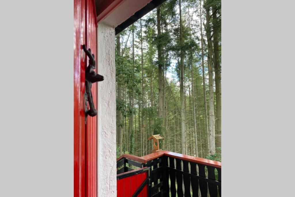 The Vianden Cottage - Charming Cottage In The Forest Екстериор снимка